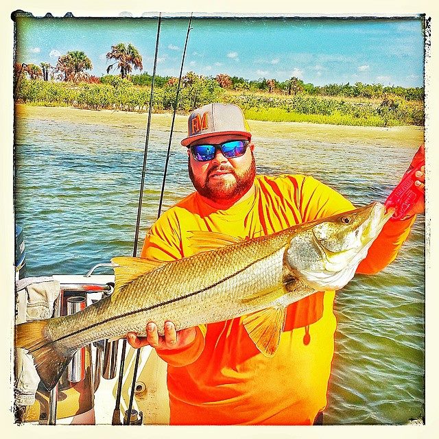 https__scontent.xx.fbcdn.net_hphotos-xfa1_v_t1.0-9_10885021_10202651180239956_5407922373929228289_n